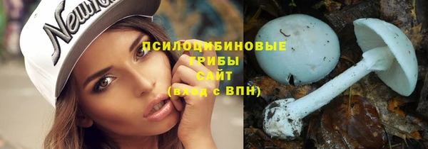 метадон Козловка