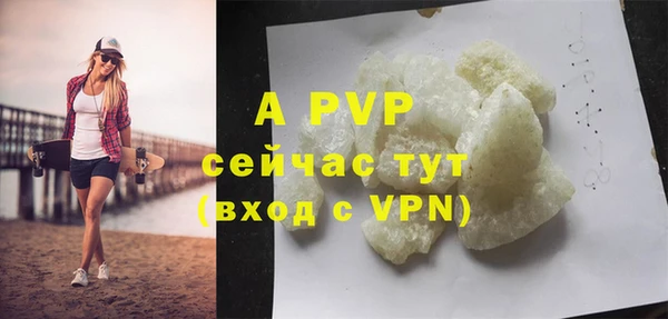 PSILOCYBIN Козельск