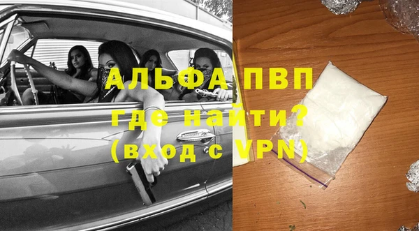 PSILOCYBIN Козельск