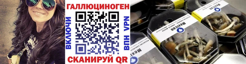 Псилоцибиновые грибы MAGIC MUSHROOMS Хилок