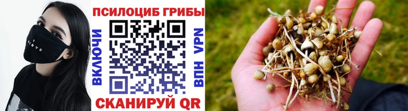 Псилоцибиновые грибы MAGIC MUSHROOMS  Купить закладки  Хилок 