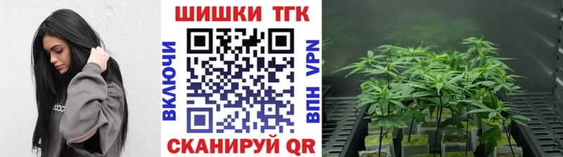 Купить где  Хилок  МАРИХУАНА MAZAR 